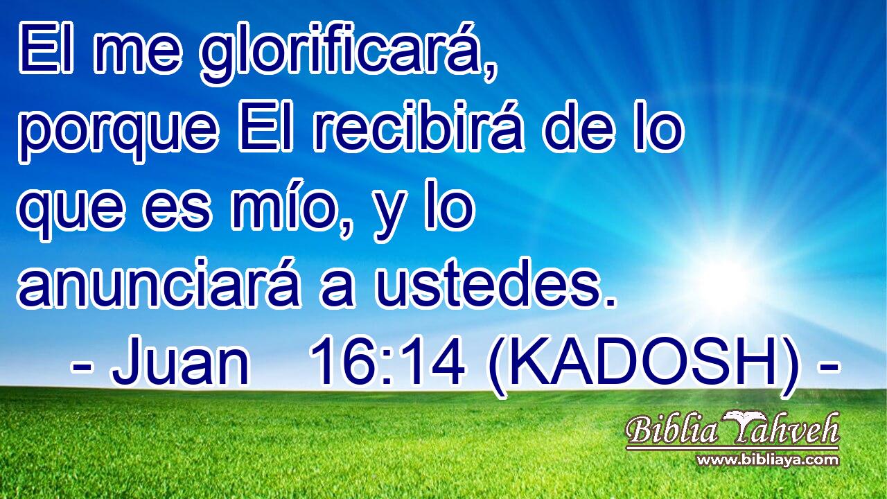  El me glorificará, porque El recibirá de lo que es mío, y lo anunciará a ustedes. 