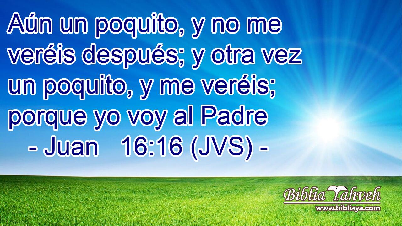 Aún un poquito, y no me veréis después; y otra vez un poquito, y me veréis; porque yo voy al Padre