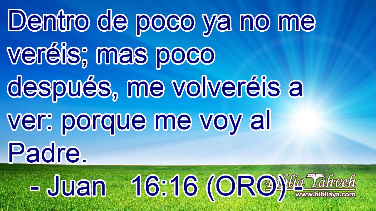  Dentro de poco ya no me veréis; mas poco después, me volveréis a ver: porque me voy al Padre. 