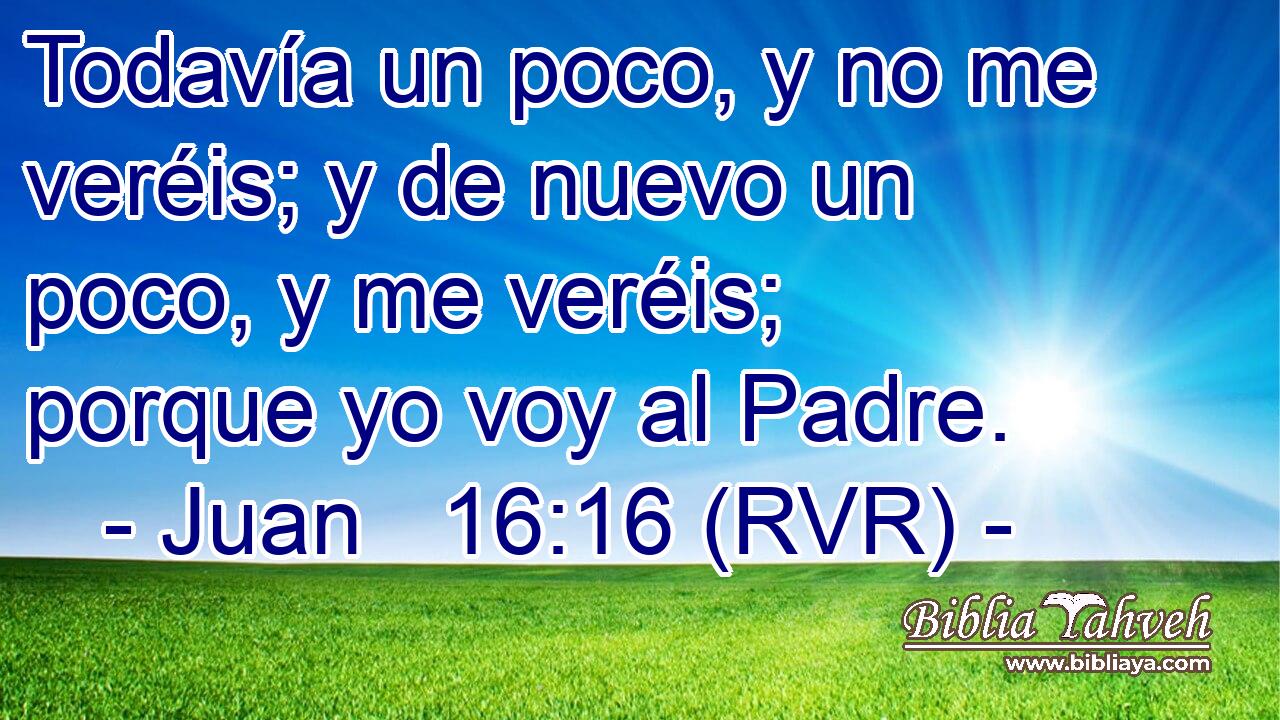 Todavía un poco, y no me veréis; y de nuevo un poco, y me veréis; porque yo voy al Padre.