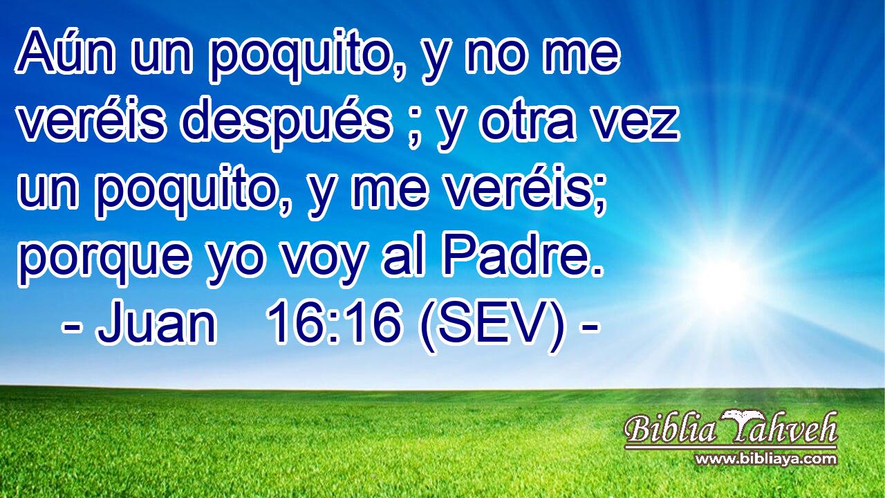 Aún un poquito, y no me veréis después ; y otra vez un poquito, y me veréis; porque yo voy al Padre.