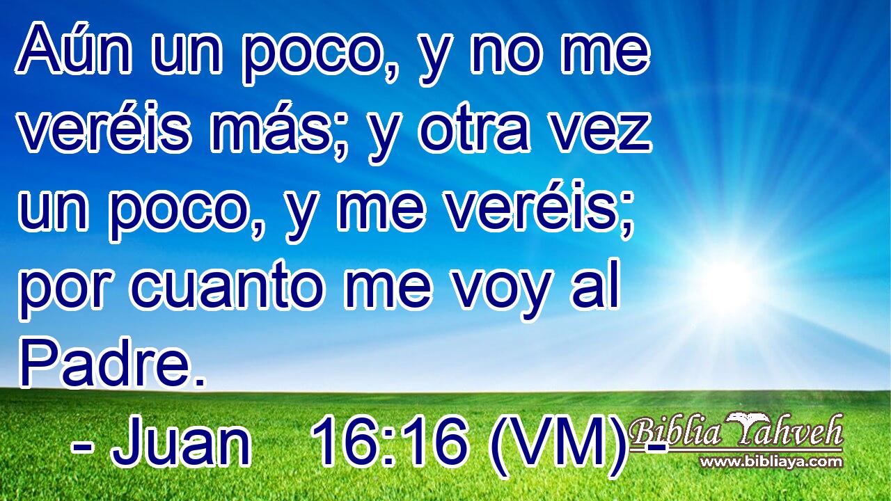  Aún un poco, y no me veréis más; y otra vez un poco, y me veréis; por cuanto me voy al Padre. 