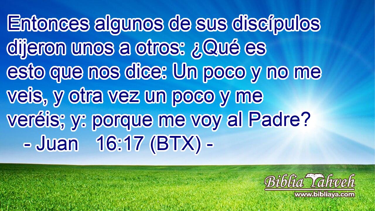 Entonces algunos de sus discípulos dijeron unos a otros: ¿Qué es esto que nos dice: Un poco y no me veis, y otra vez un poco y me veréis; y: porque me voy al Padre?