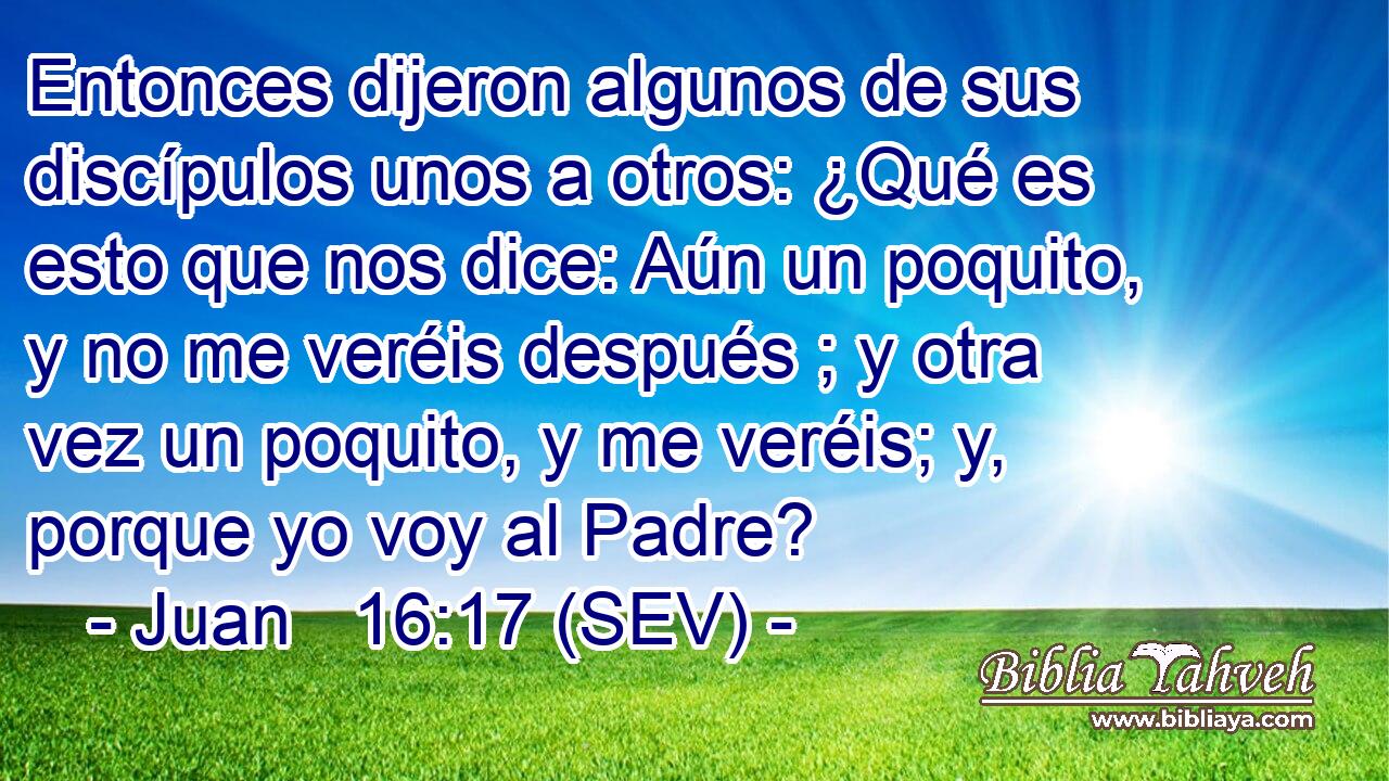 Entonces dijeron algunos de sus discípulos unos a otros: ¿Qué es esto que nos dice: Aún un poquito, y no me veréis después ; y otra vez un poquito, y me veréis; y, porque yo voy al Padre?