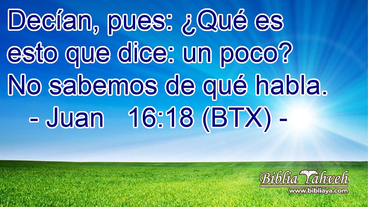 Decían, pues: ¿Qué es esto que dice: un poco? No sabemos de qué habla.