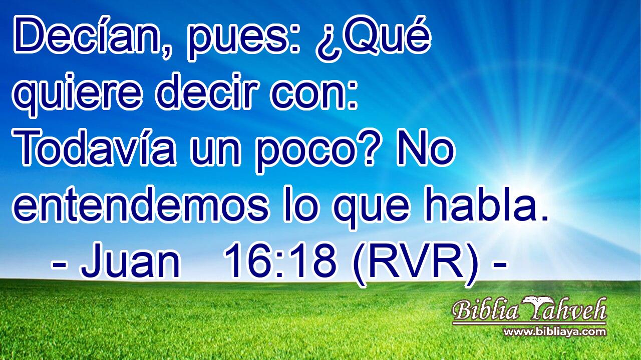 Decían, pues: ¿Qué quiere decir con: Todavía un poco? No entendemos lo que habla.