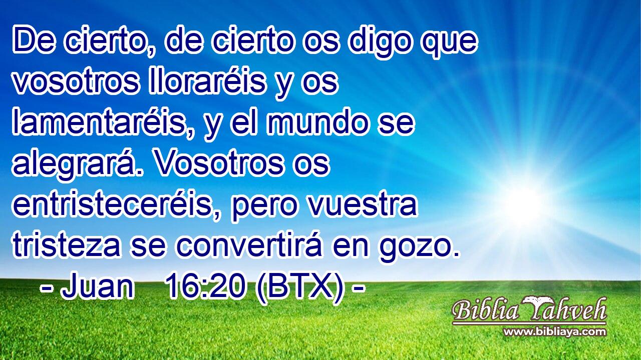 De cierto, de cierto os digo que vosotros lloraréis y os lamentaréis, y el mundo se alegrará. Vosotros os entristeceréis, pero vuestra tristeza se convertirá en gozo.