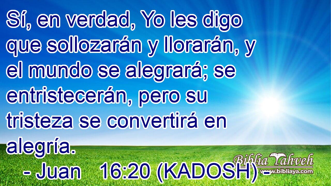  Sí, en verdad, Yo les digo que sollozarán y llorarán, y el mundo se alegrará; se entristecerán, pero su tristeza se convertirá en alegría. 