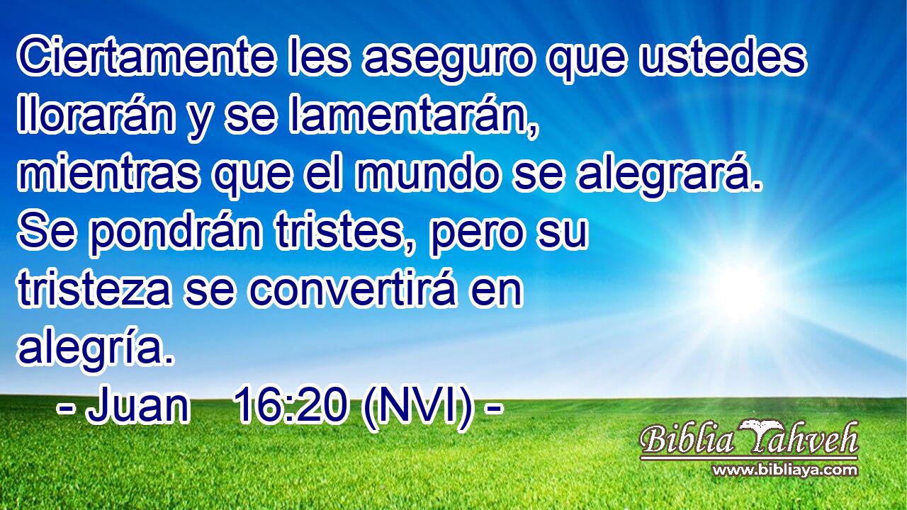  Ciertamente les aseguro que ustedes llorarán y se lamentarán, mientras que el mundo se alegrará. Se pondrán tristes, pero su tristeza se convertirá en alegría. 