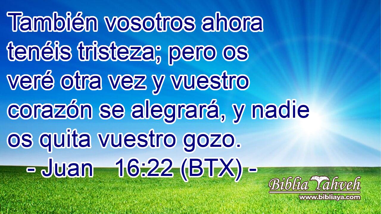 También vosotros ahora tenéis tristeza; pero os veré otra vez y vuestro corazón se alegrará, y nadie os quita vuestro gozo.