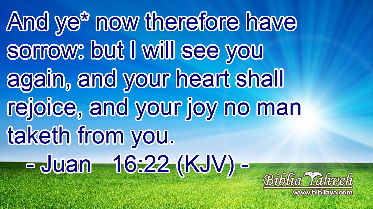 And ye* now therefore have sorrow: but I will see you again, and your heart shall rejoice, and your joy no man taketh from you.