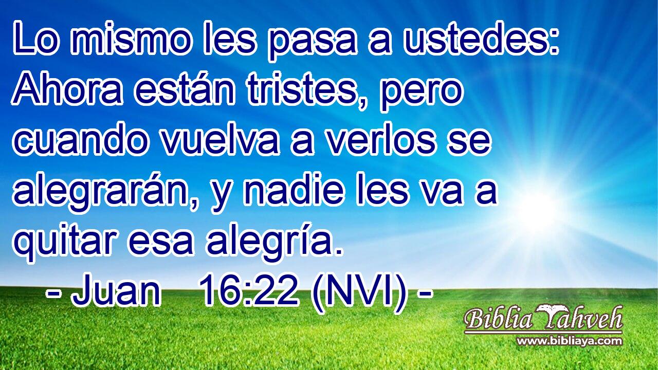  Lo mismo les pasa a ustedes: Ahora están tristes, pero cuando vuelva a verlos se alegrarán, y nadie les va a quitar esa alegría. 
