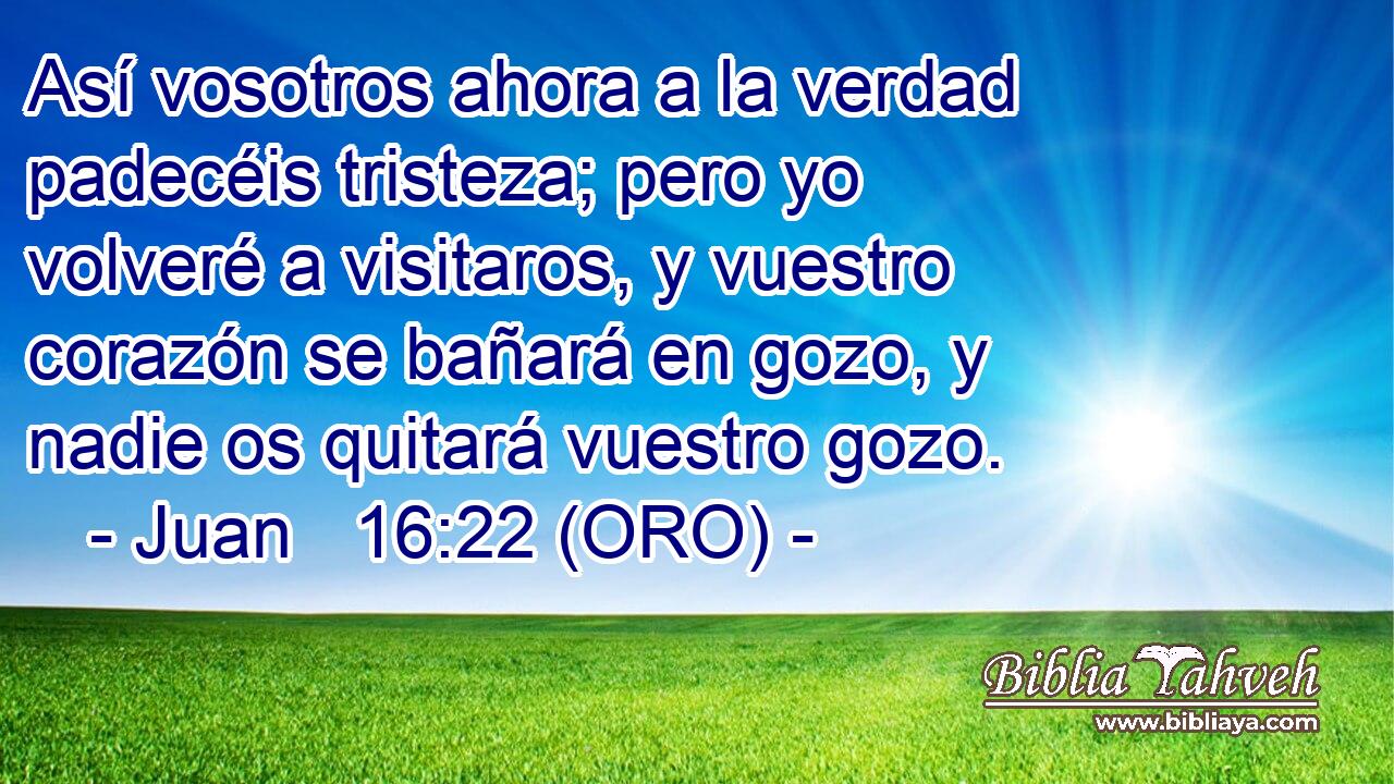  Así vosotros ahora a la verdad padecéis tristeza; pero yo volveré a visitaros, y vuestro corazón se bañará en gozo, y nadie os quitará vuestro gozo. 