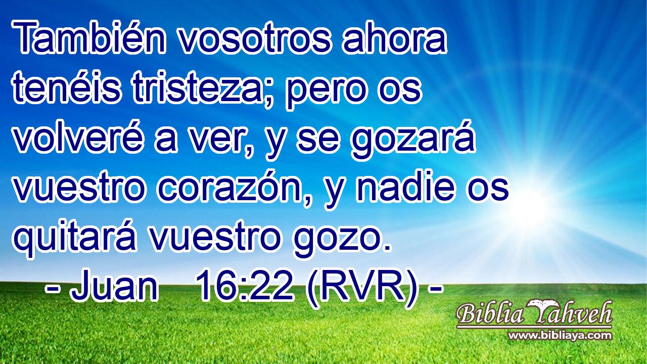 También vosotros ahora tenéis tristeza; pero os volveré a ver, y se gozará vuestro corazón, y nadie os quitará vuestro gozo.
