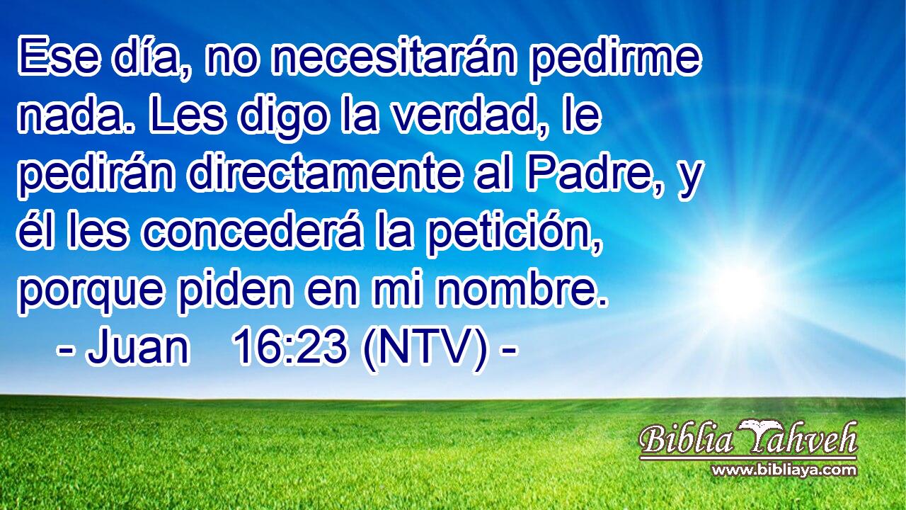 Ese día, no necesitarán pedirme nada. Les digo la verdad, le pedirán directamente al Padre, y él les concederá la petición, porque piden en mi nombre.