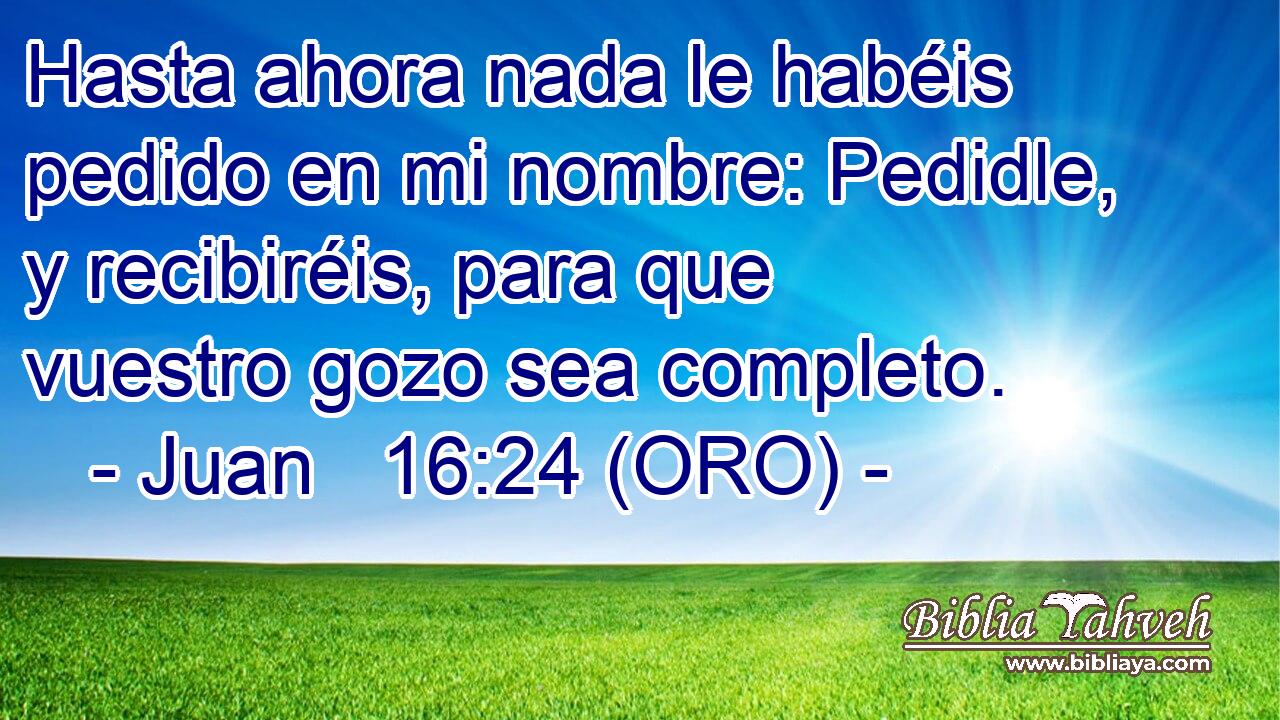  Hasta ahora nada le habéis pedido en mi nombre: Pedidle, y recibiréis, para que vuestro gozo sea completo. 
