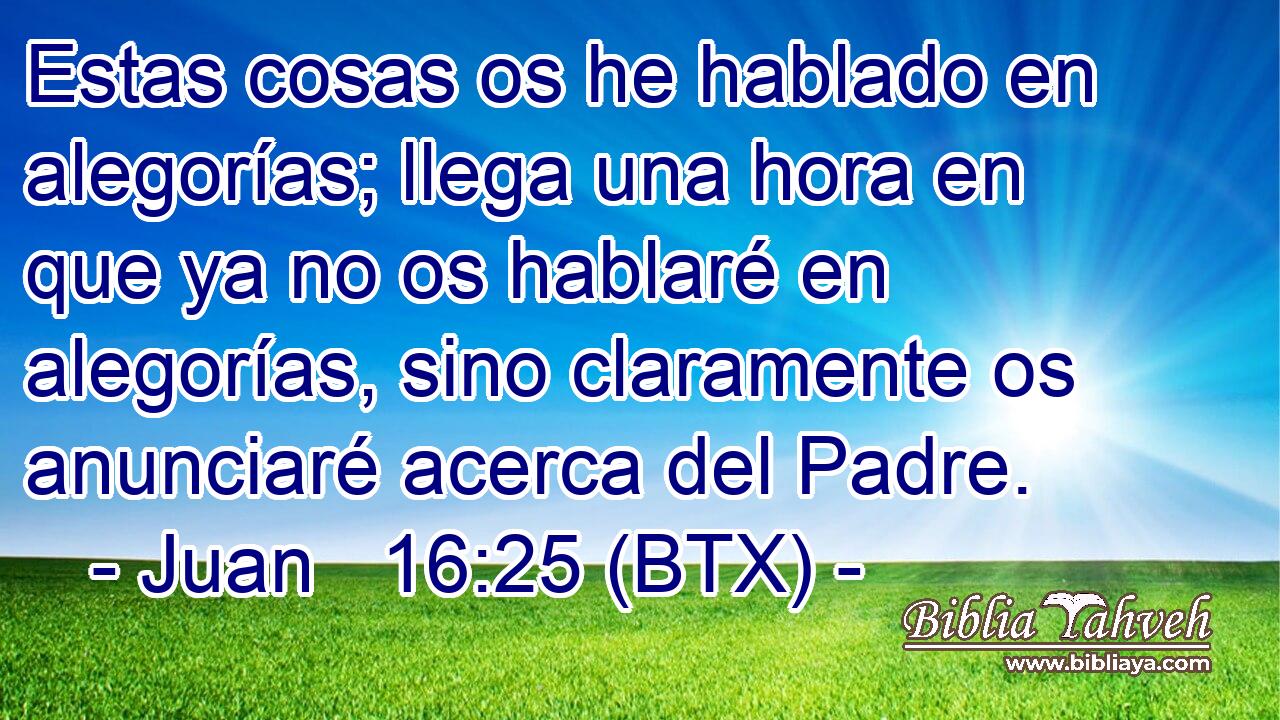 Estas cosas os he hablado en alegorías; llega una hora en que ya no os hablaré en alegorías, sino claramente os anunciaré acerca del Padre.