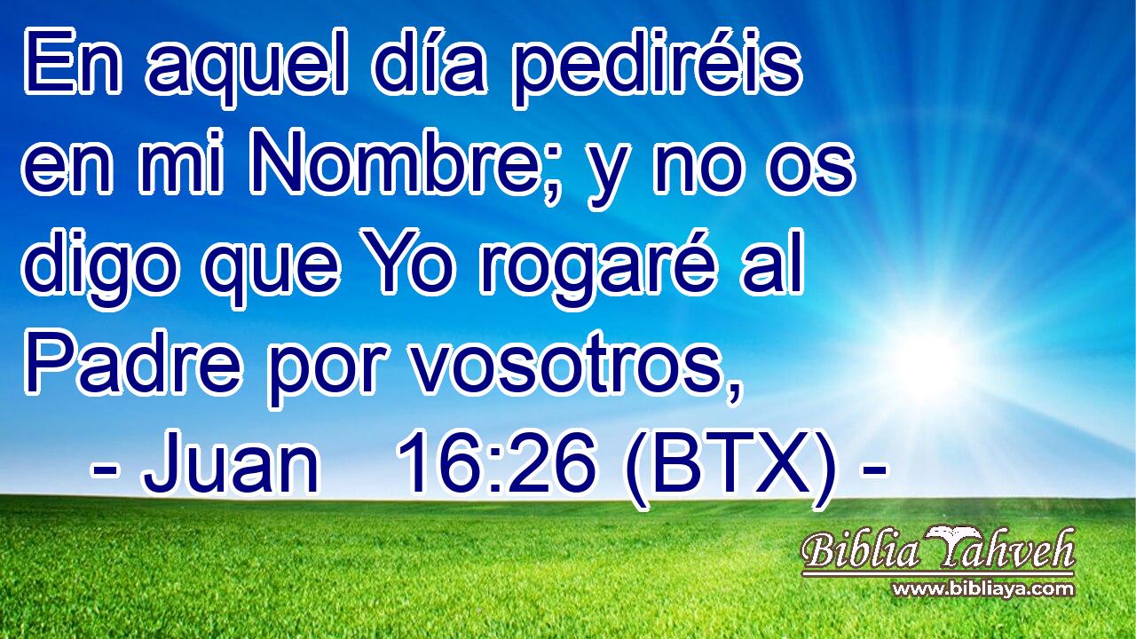 En aquel día pediréis en mi Nombre; y no os digo que Yo rogaré al Padre por vosotros,