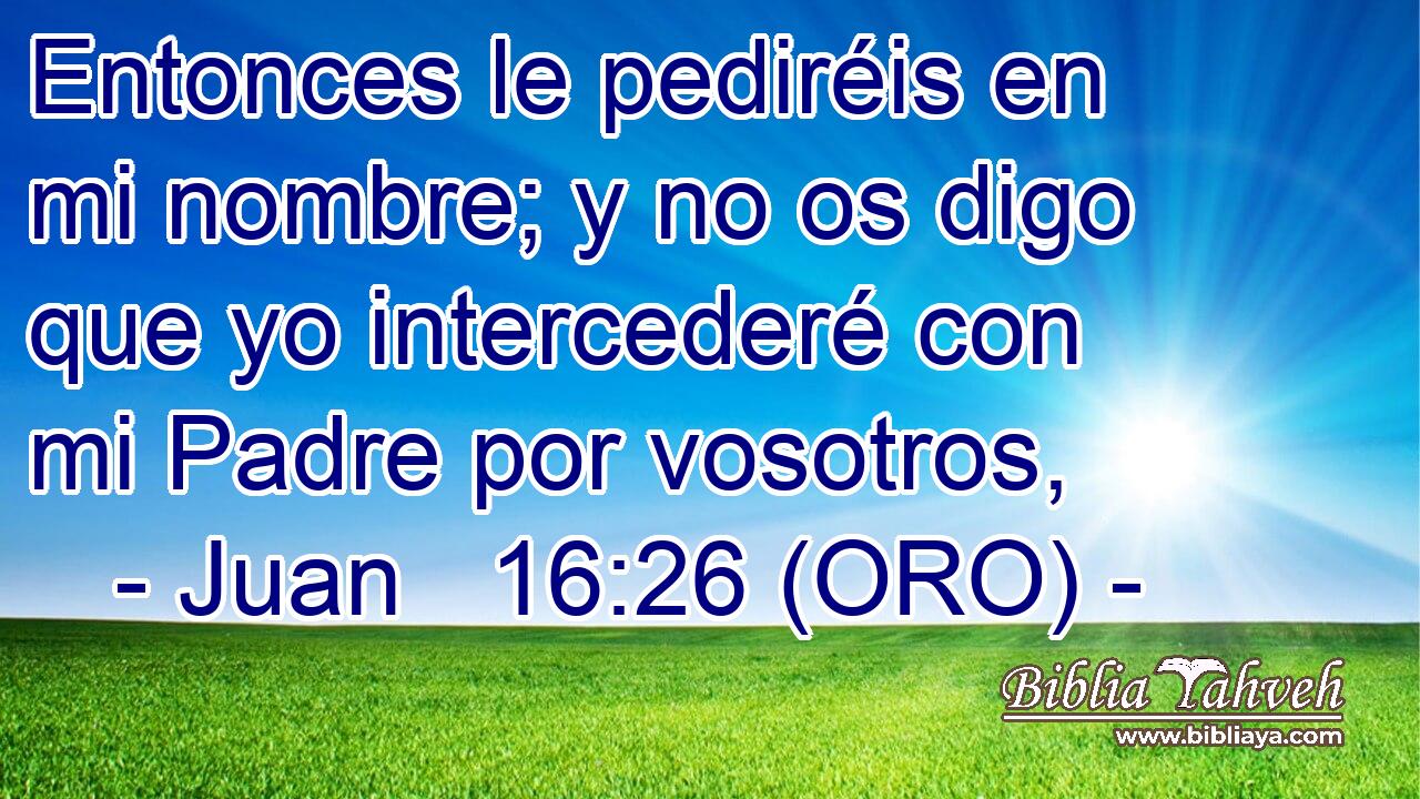  Entonces le pediréis en mi nombre; y no os digo que yo intercederé con mi Padre por vosotros, 