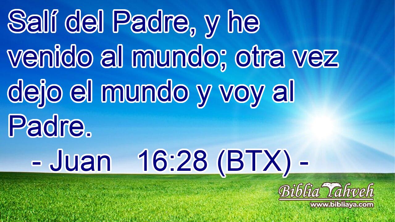Salí del Padre, y he venido al mundo; otra vez dejo el mundo y voy al Padre.