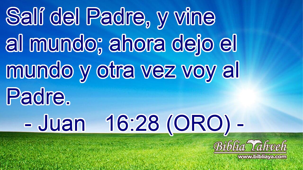  Salí del Padre, y vine al mundo; ahora dejo el mundo y otra vez voy al Padre. 