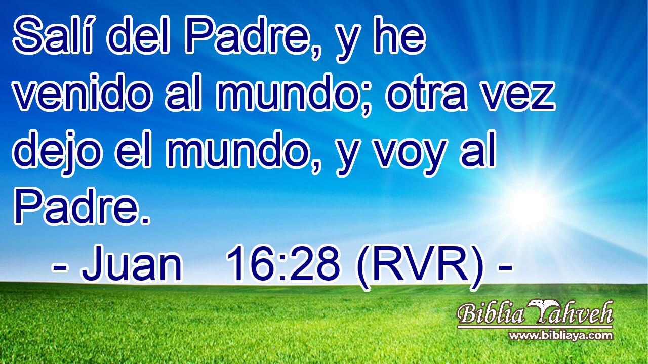 Salí del Padre, y he venido al mundo; otra vez dejo el mundo, y voy al Padre.