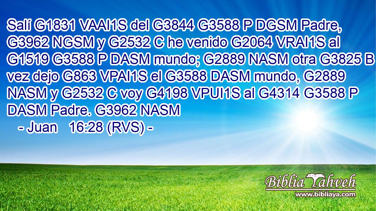 Salí G1831 VAAI1S del G3844 G3588 P DGSM Padre, G3962 NGSM y G2532 C he venido G2064 VRAI1S al G1519 G3588 P DASM mundo; G2889 NASM otra G3825 B vez dejo G863 VPAI1S el G3588 DASM mundo, G2889 NASM y G2532 C voy G4198 VPUI1S al G4314 G3588 P DASM Padre. G3962 NASM 