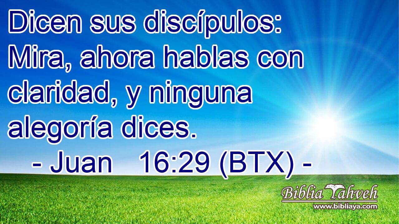Dicen sus discípulos: Mira, ahora hablas con claridad, y ninguna alegoría dices.