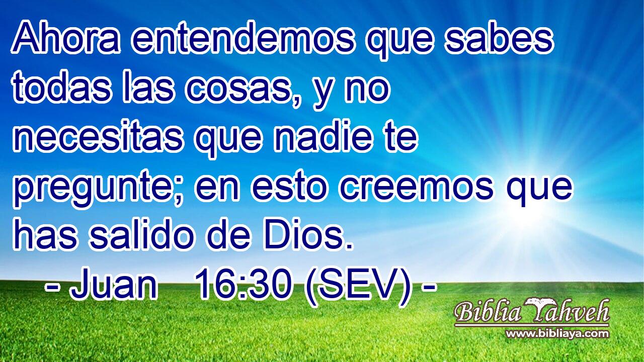 Ahora entendemos que sabes todas las cosas, y no necesitas que nadie te pregunte; en esto creemos que has salido de Dios.