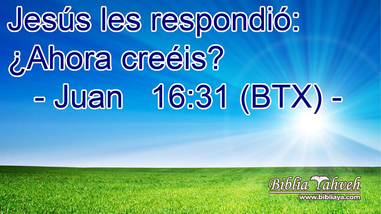 Jesús les respondió: ¿Ahora creéis?