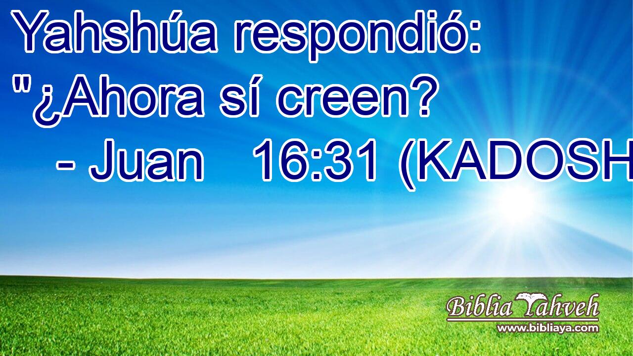  Yahshúa respondió: 