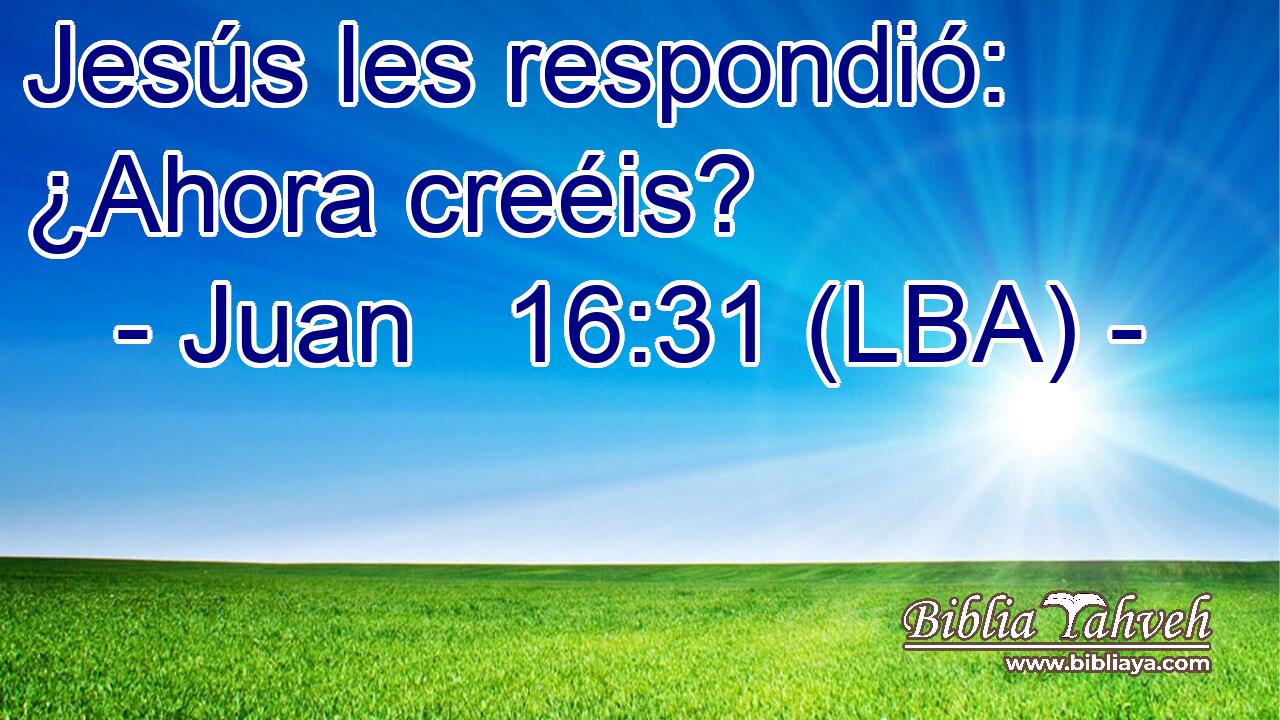 Jesús les respondió: ¿Ahora creéis?