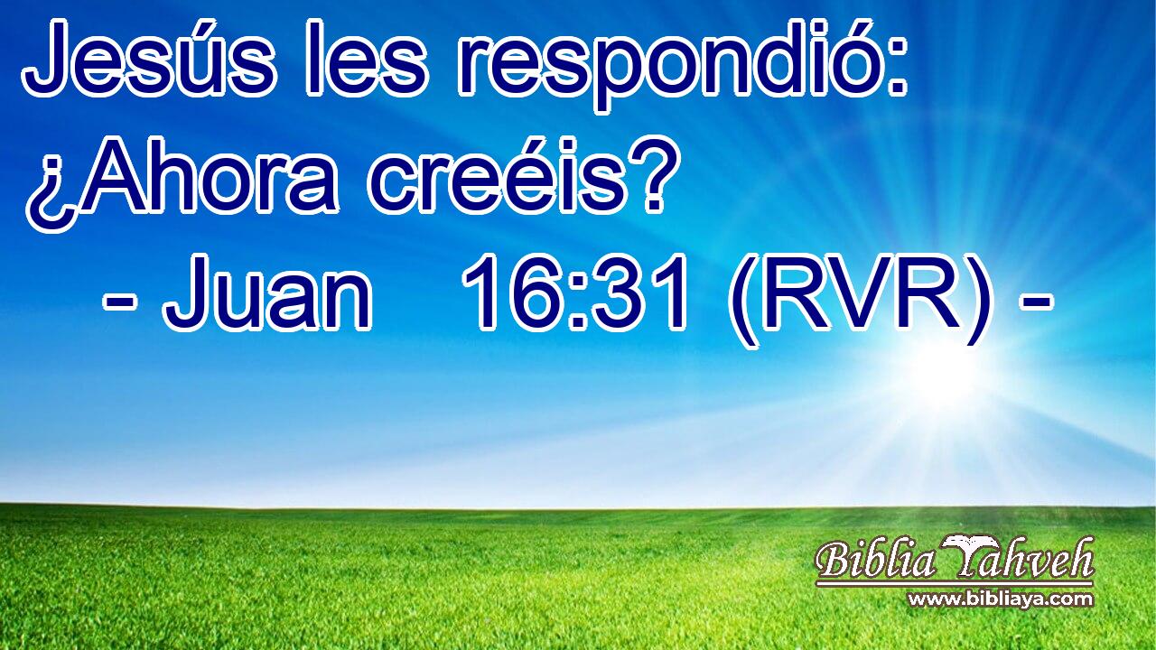Jesús les respondió: ¿Ahora creéis?