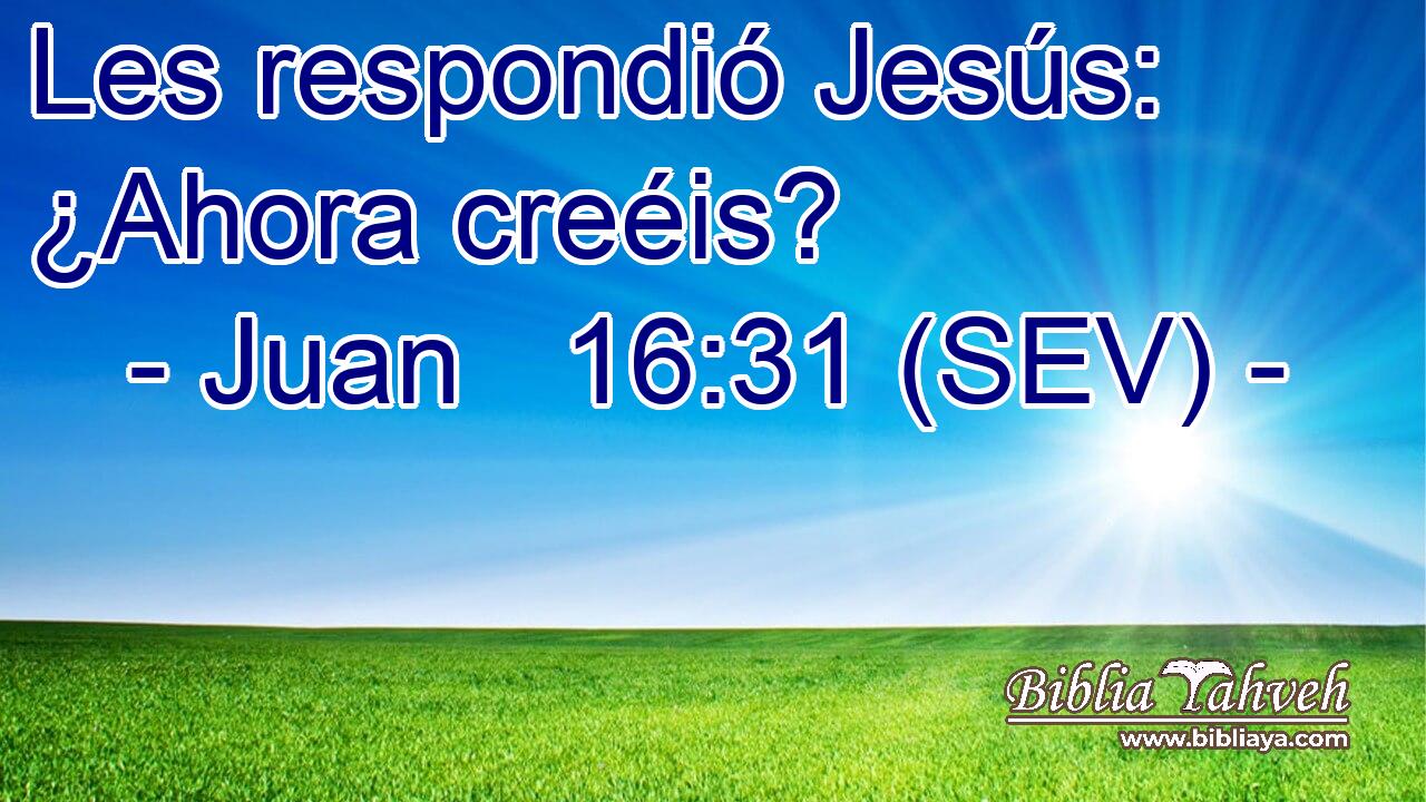 Les respondió Jesús: ¿Ahora creéis?