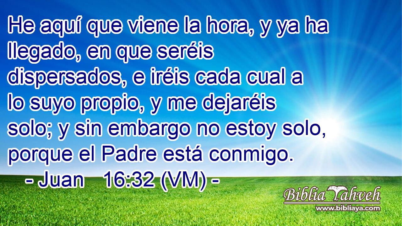  He aquí que viene la hora, y ya ha llegado, en que seréis dispersados, e iréis cada cual a lo suyo propio, y me dejaréis solo; y sin embargo no estoy solo, porque el Padre está conmigo. 
