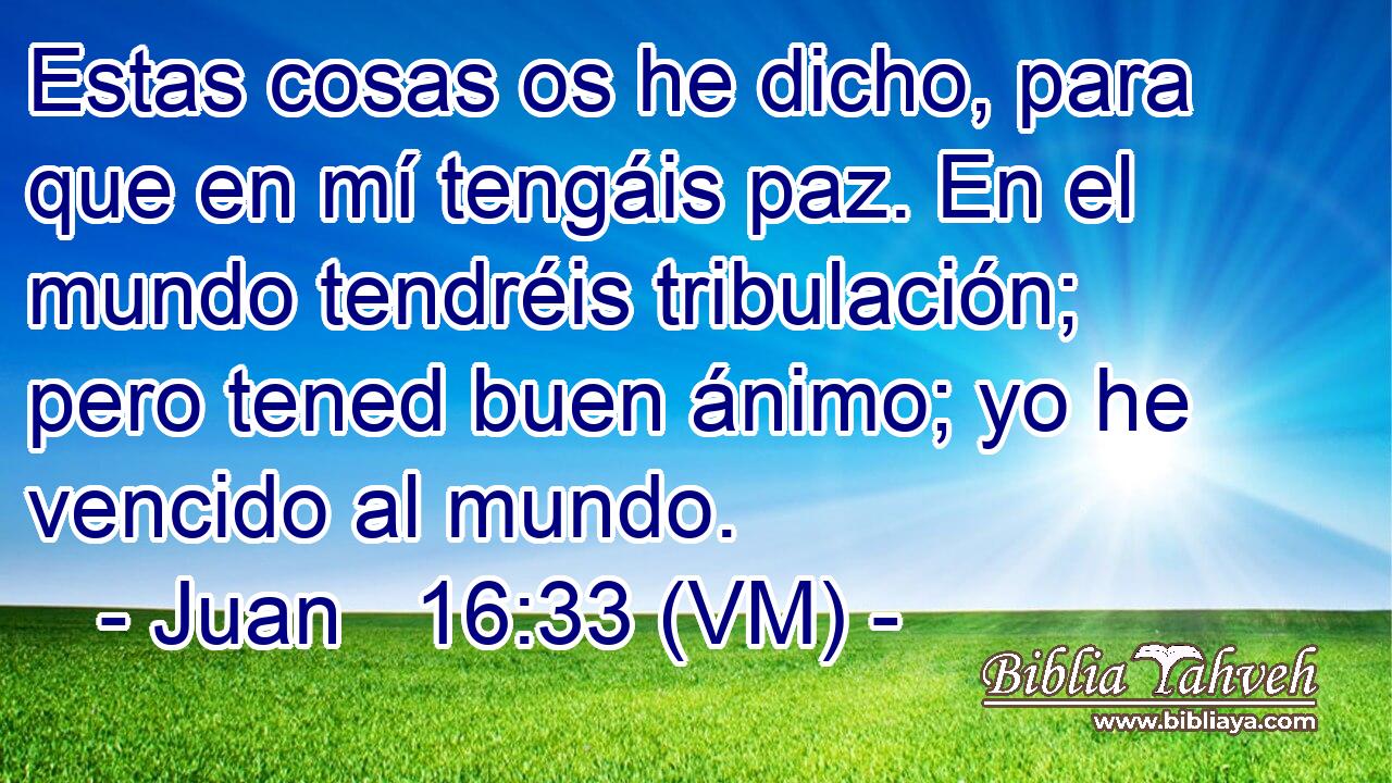  Estas cosas os he dicho, para que en mí tengáis paz. En el mundo tendréis tribulación; pero tened buen ánimo; yo he vencido al mundo. 