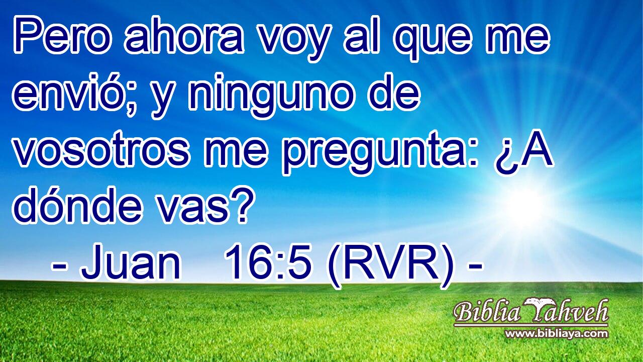 Pero ahora voy al que me envió; y ninguno de vosotros me pregunta: ¿A dónde vas?