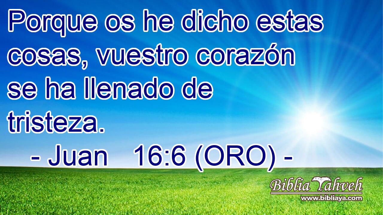  Porque os he dicho estas cosas, vuestro corazón se ha llenado de tristeza. 