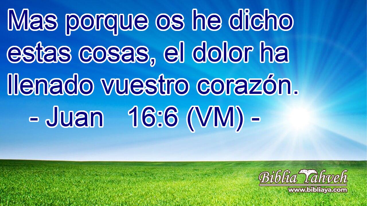  Mas porque os he dicho estas cosas, el dolor ha llenado vuestro corazón. 