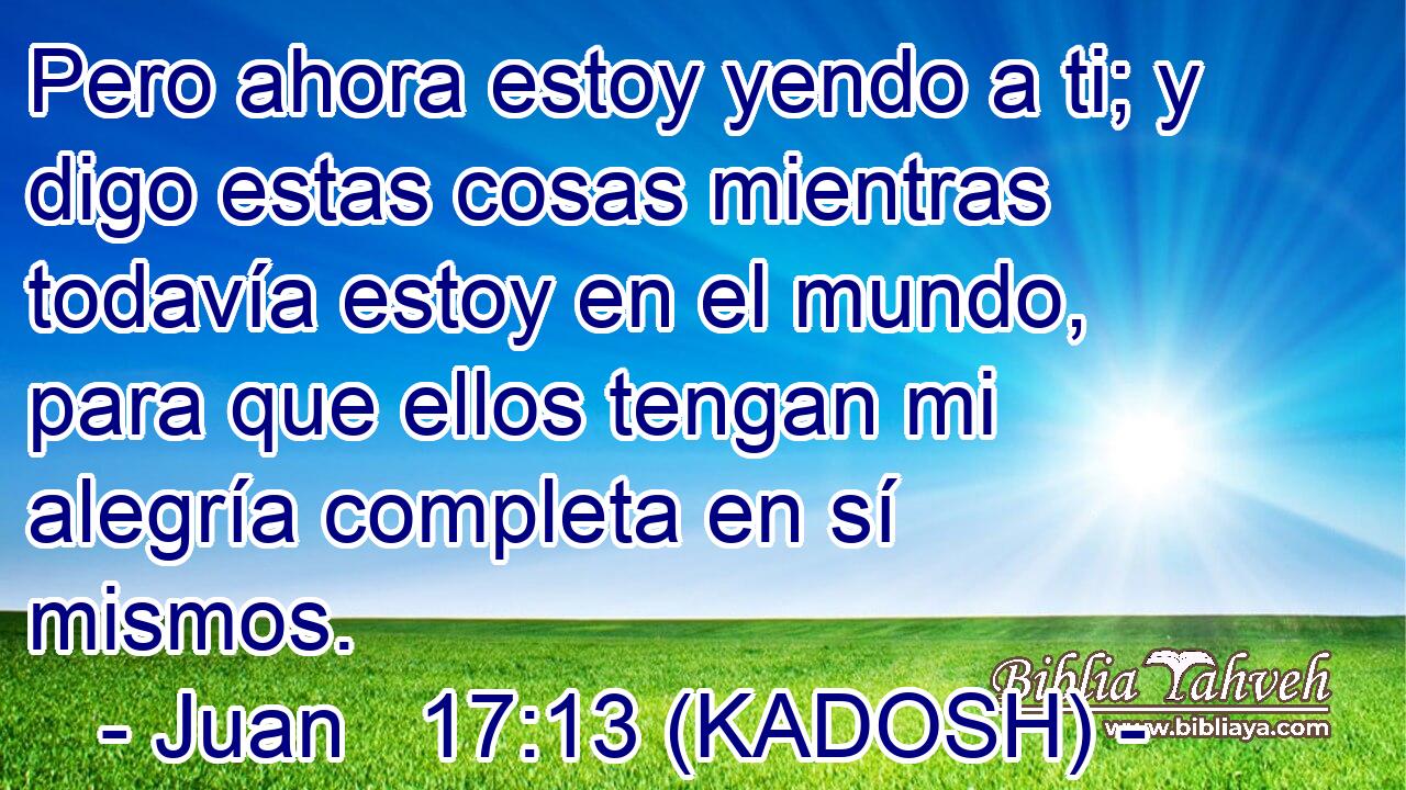  Pero ahora estoy yendo a ti; y digo estas cosas mientras todavía estoy en el mundo, para que ellos tengan mi alegría completa en sí mismos. 