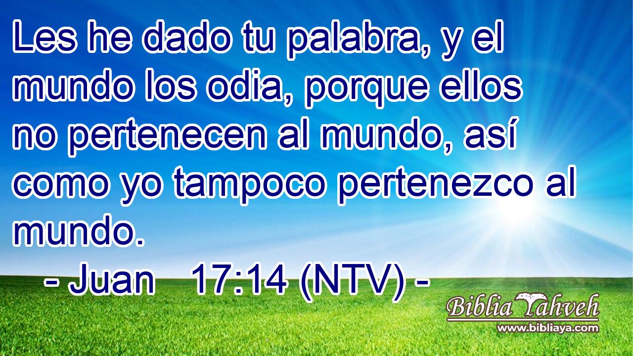 Les he dado tu palabra, y el mundo los odia, porque ellos no pertenecen al mundo, así como yo tampoco pertenezco al mundo.