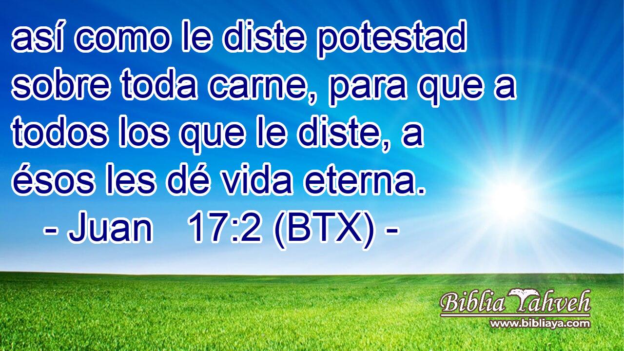 así como le diste potestad sobre toda carne, para que a todos los que le diste, a ésos les dé vida eterna.