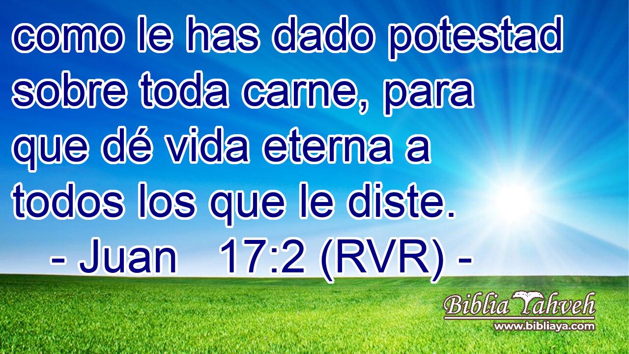 como le has dado potestad sobre toda carne, para que dé vida eterna a todos los que le diste.