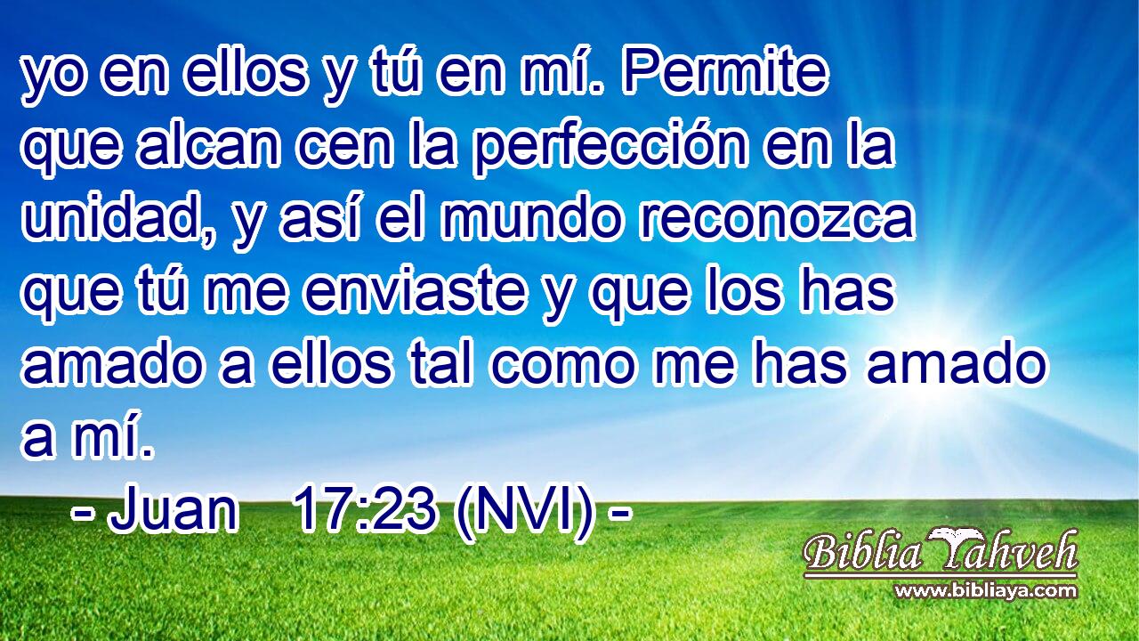  yo en ellos y tú en mí. Permite que alcan cen la perfección en la unidad, y así el mundo reconozca que tú me enviaste y que los has amado a ellos tal como me has amado a mí. 