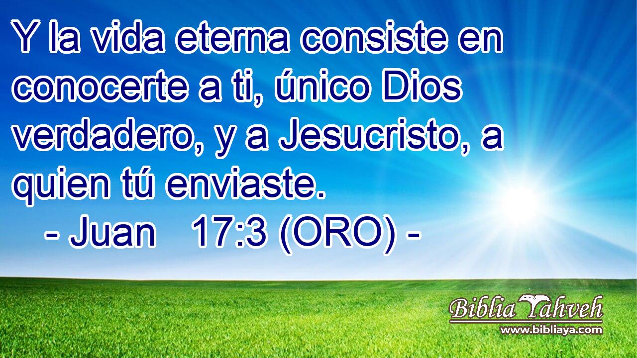  Y la vida eterna consiste en conocerte a ti, único Dios verdadero, y a Jesucristo, a quien tú enviaste. 