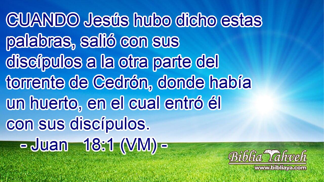  CUANDO Jesús hubo dicho estas palabras, salió con sus discípulos a la otra parte del torrente de Cedrón, donde había un huerto, en el cual entró él con sus discípulos. 