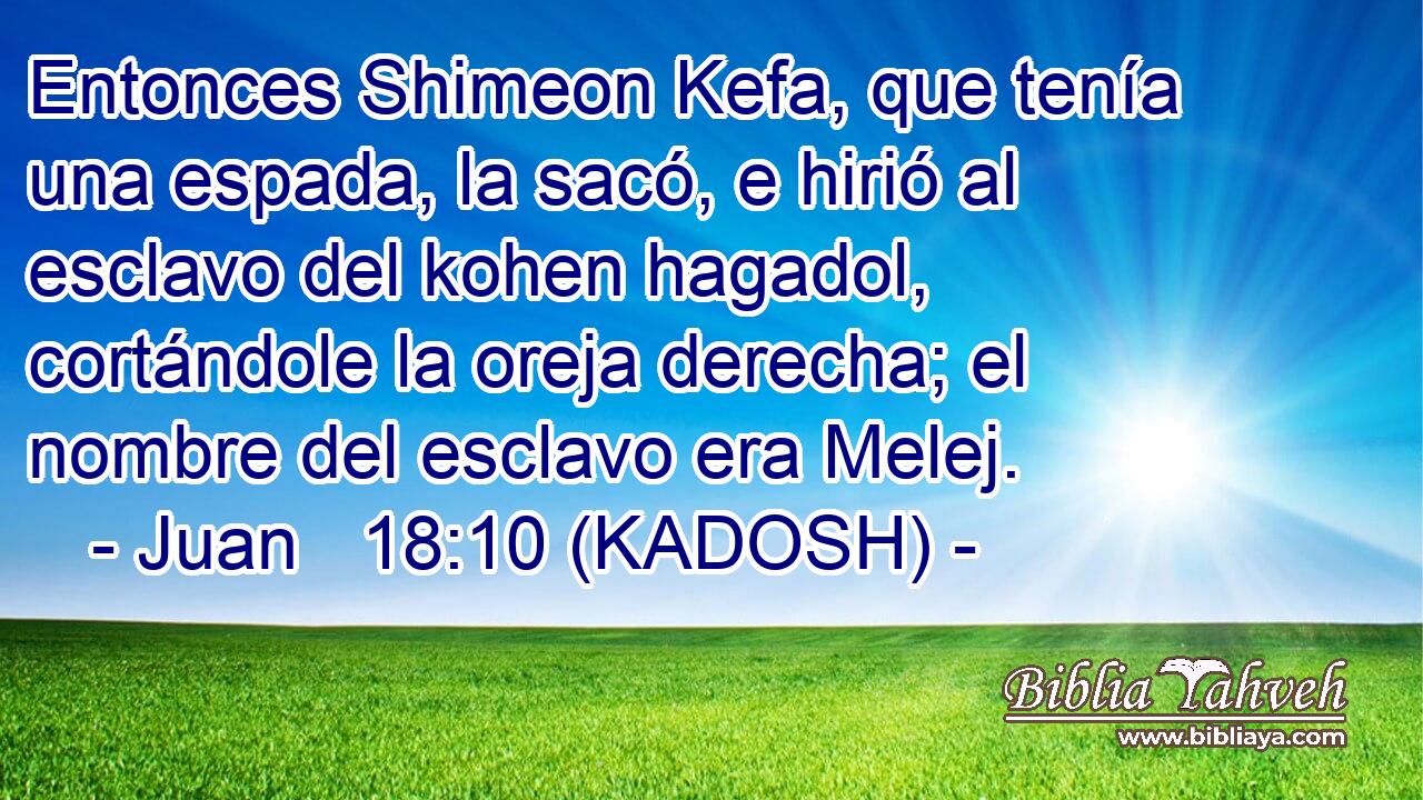  Entonces Shimeon Kefa, que tenía una espada, la sacó, e hirió al esclavo del kohen hagadol, cortándole la oreja derecha; el nombre del esclavo era Melej. 