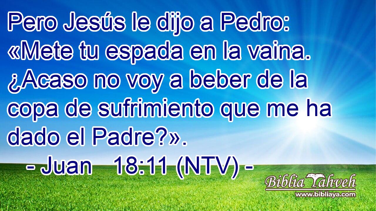 Pero Jesús le dijo a Pedro: «Mete tu espada en la vaina. ¿Acaso no voy a beber de la copa de sufrimiento que me ha dado el Padre?».