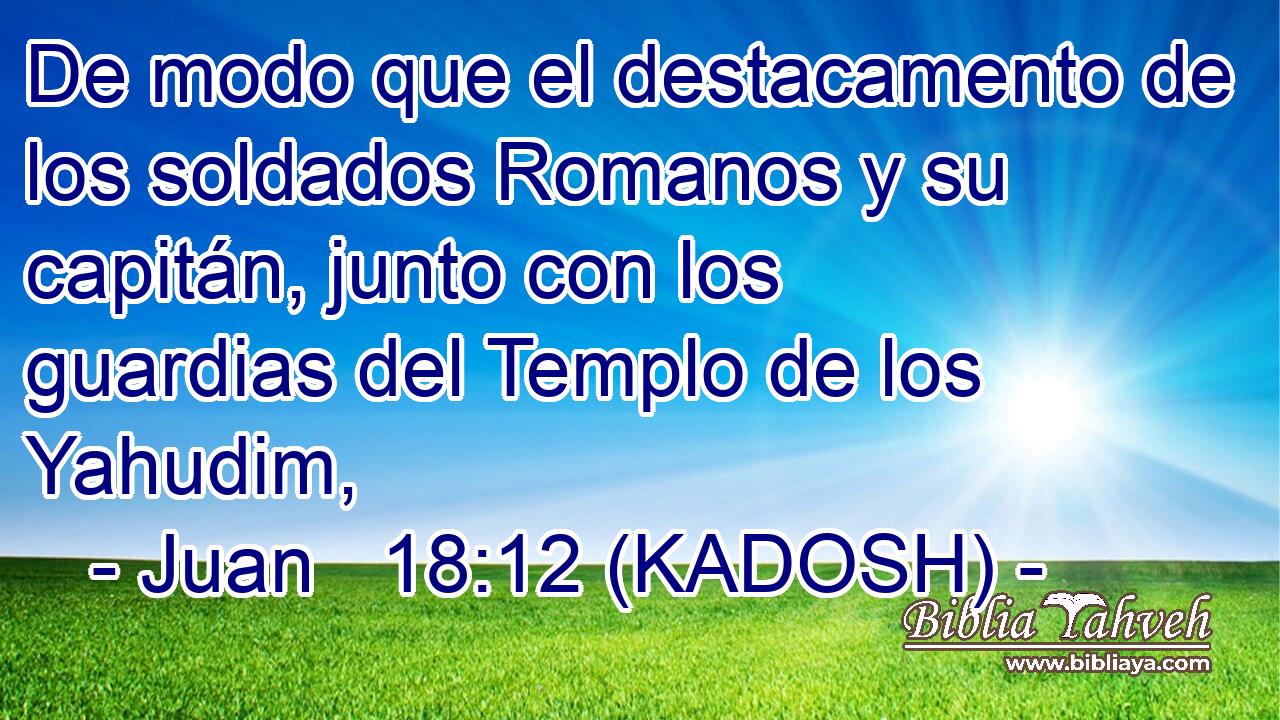  De modo que el destacamento de los soldados Romanos y su capitán, junto con los guardias del Templo de los Yahudim, 