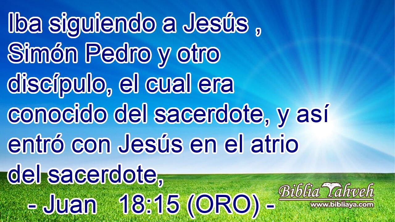  Iba siguiendo a Jesús , Simón Pedro y otro discípulo, el cual era conocido del sacerdote, y así entró con Jesús en el atrio del sacerdote, 